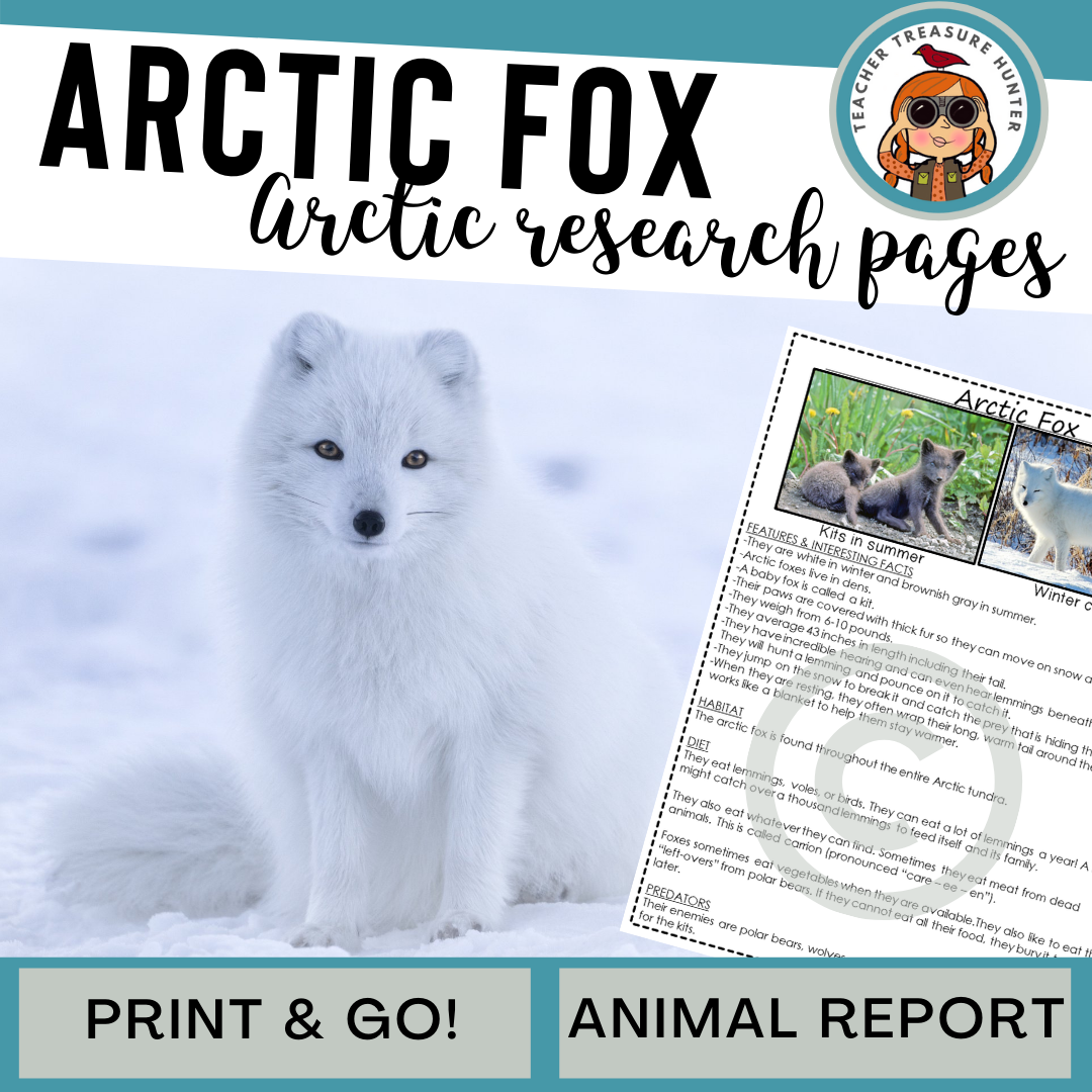 Arctic Fox Animal Report Informational Article For Arctic Animals Research Made By Teachers