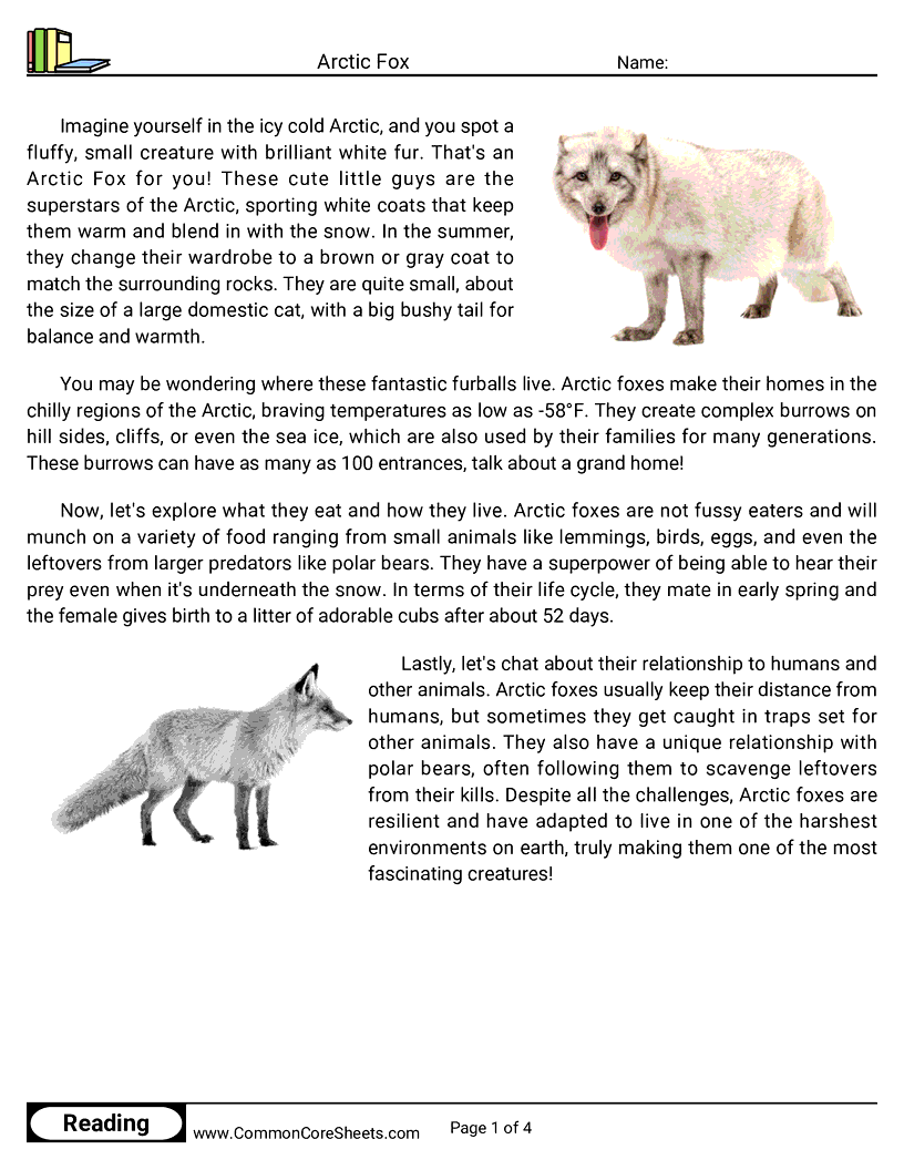 Arctic Fox Worksheet Download