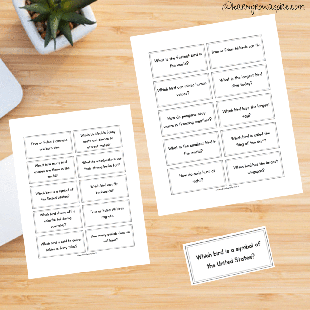 Bird Trivia Questions And Answers For Kids