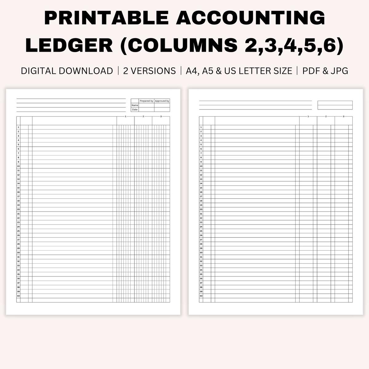 Printable Blank Accounting Ledger Money Ledger Bookkeeping General Ledger Small Business 2 6 Columns Ledger A4 A5 US Letter Size Etsy