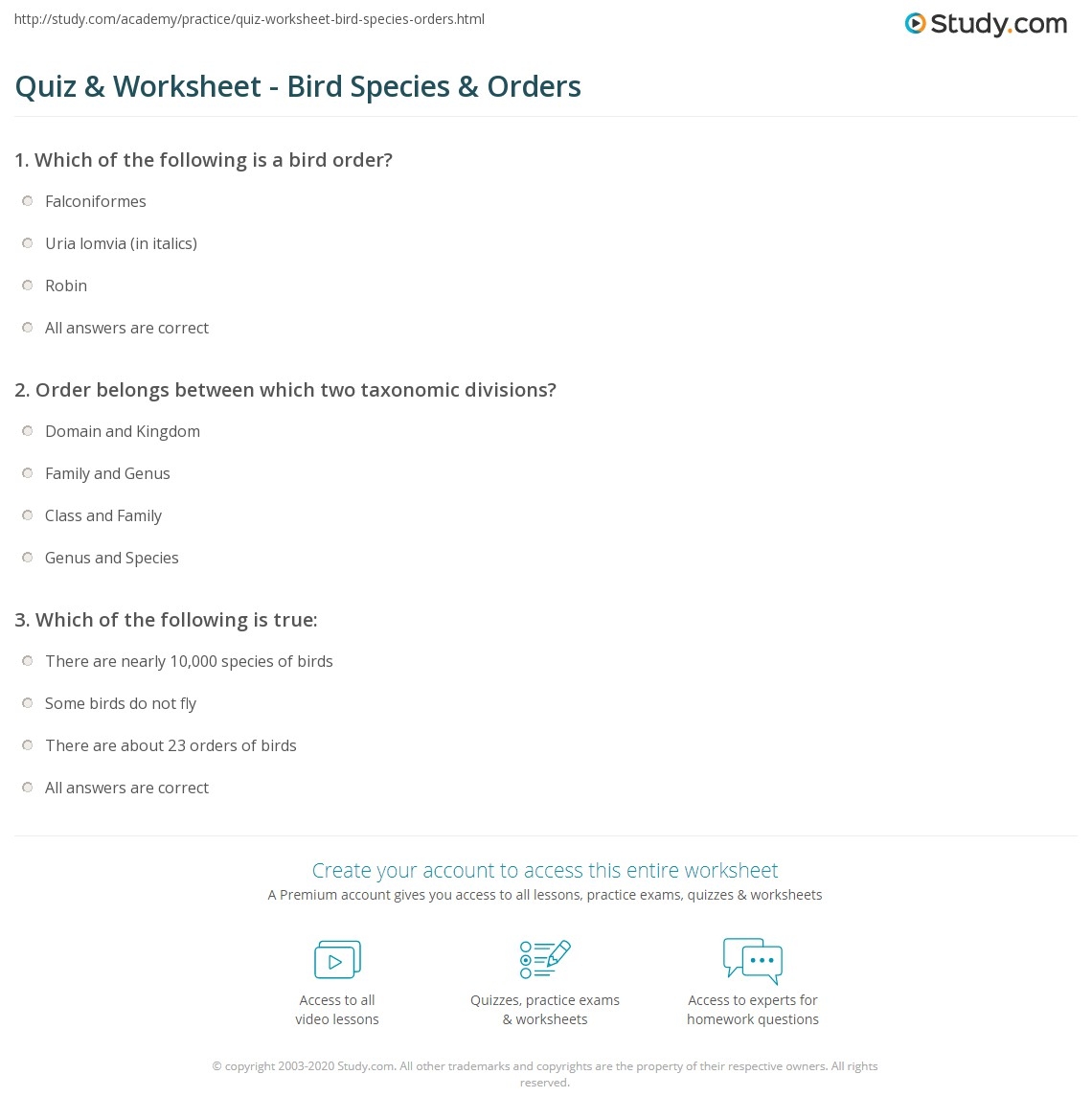 Family Reunion Trivia Game Fun Activity A4 Printable INSTANT DOWNLOAD Etsy