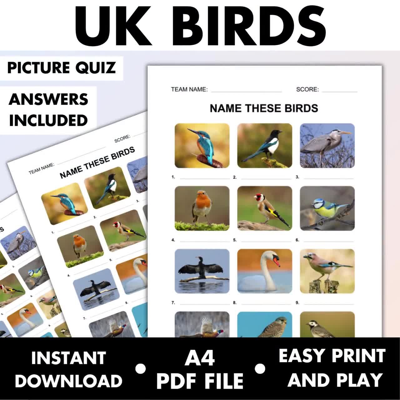 UK Birds Picture Quiz Bird Watching Pub Quiz Picture Round British Bird Nature Lover Trivia Printable Pub Quiz Party Game Etsy New Zealand